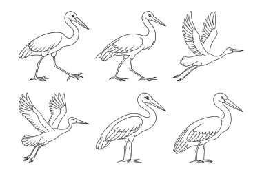 Beyaz arkaplan ile vektör klipsi sanat stili pelikan siluet demeti