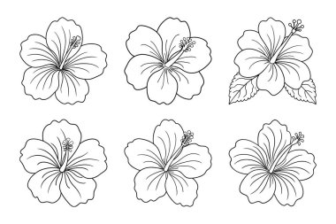 Beyaz arkaplan ile vektör biçiminde Hibiscus siluet tasarımı