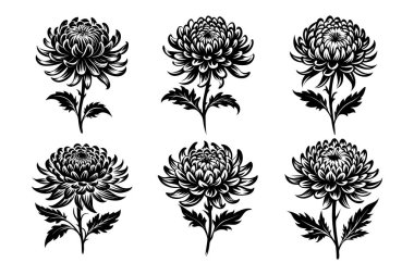 Kasımpatı siluet tasarımı beyaz arkaplanlı yaratıcı vektör klipsi sanatında ayarlandı