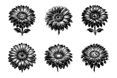 Vektör klipsi sanat biçimi gerbera siluet paketi beyaz arkaplan ile ayarlandı