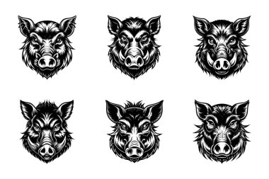 Yaban domuzu kafası Silueti Vektör Kesme Sanatı Biçimi