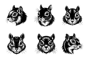 Vektör Klip Sanatı Biçiminde Sincap Siluet Paketi