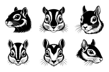 Vektör Klip Sanatı Biçiminde Sincap Siluet Paketi