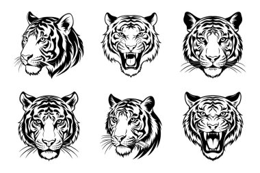 Vektör Klip Sanatında Kaplan Silueti Paketi