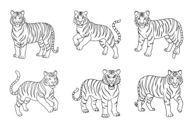 Vektör Klip Sanatında Kaplan Silueti Paketi