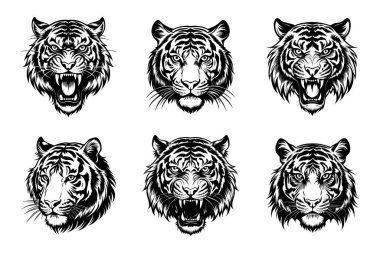 Vektör Klip Sanatında Kaplan Silueti Paketi