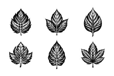 Yaprak simgesi siluet demeti tasarımı