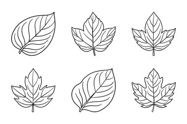 Yaprak simgesi siluet demeti tasarımı