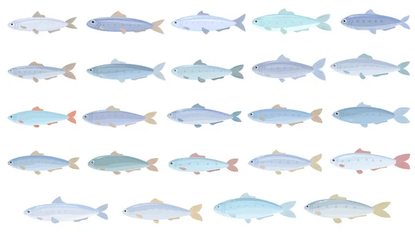 Sardalya Ikonları Çizgi Film Vektörünü Ayarlıyor Balık Tutabilirim Yağ Çerezi — Stok Vektör