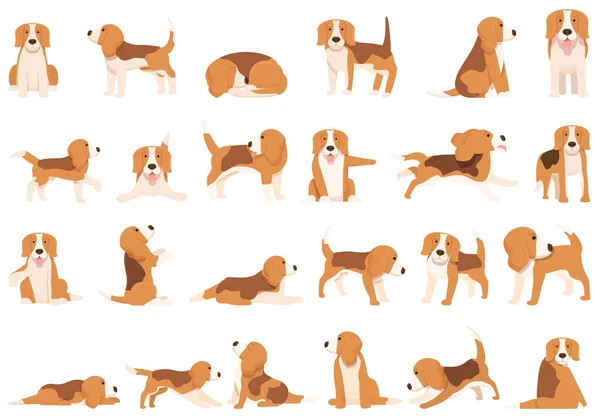 Ícones Beagle Definir Vetor Desenhos Animados Raça Cães Animais Companhia — Vetor de Stock