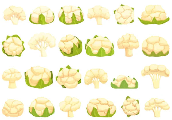 花椰菜图标设置动画矢量 卷心菜食品沙拉 — 图库矢量图片