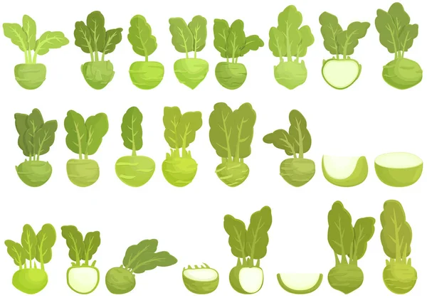 Kohlrabi图标设置动画矢量 农业卷心菜烹调烹饪 — 图库矢量图片