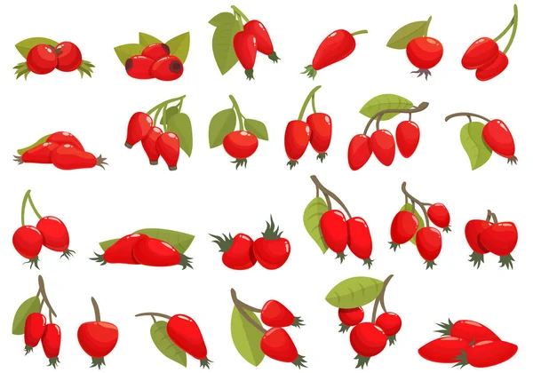 Rosehip Icons Set Cartoon Vector Agriculture Juice Berry Bio — Stock Vector