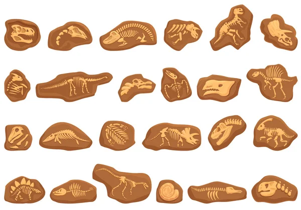Los Iconos Fósiles Dinosaurios Establecen Vector Dibujos Animados Educación Natural — Vector de stock