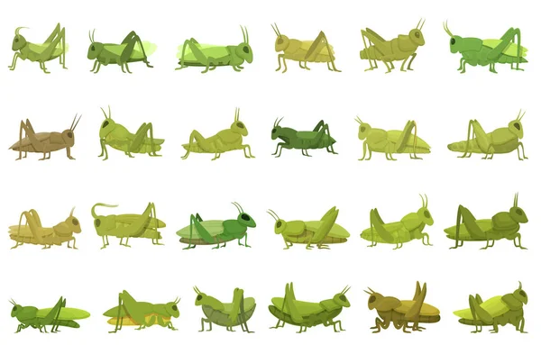 Icônes Sauterelle Définir Vecteur Dessin Animé Bug Animal Insecte Nature — Image vectorielle