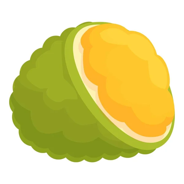 Ikona Jackfruit Wektor Kreskówki Dojrzałe Jedzenie Jack Organiczny — Wektor stockowy
