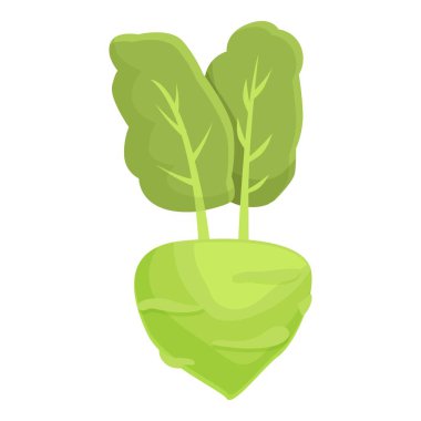 Tarım kohlrabi ikon karikatür vektörü. Sağlıklı yiyecekler. Organik bitki