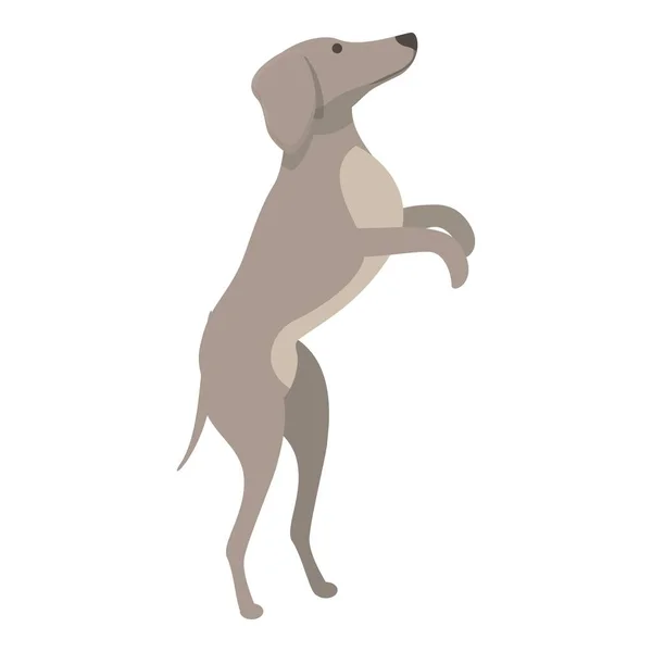 Salto Greyhound Icona Vettore Cartone Animato Animale Cane Canino Sprint — Vettoriale Stock