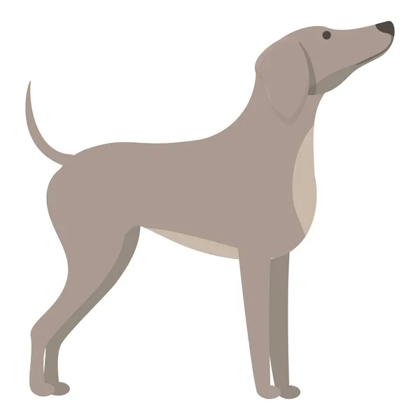 Greyhound Esperando Vetor Desenho Animado Ícone Comida Corre Animal Sprint — Vetor de Stock