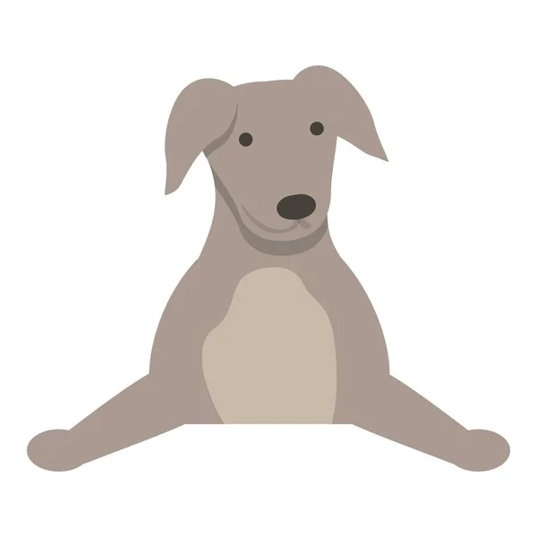 Ícone Cachorro Greyhound Vetor Desenho Animado Cão Animal Corre — Vetor de Stock
