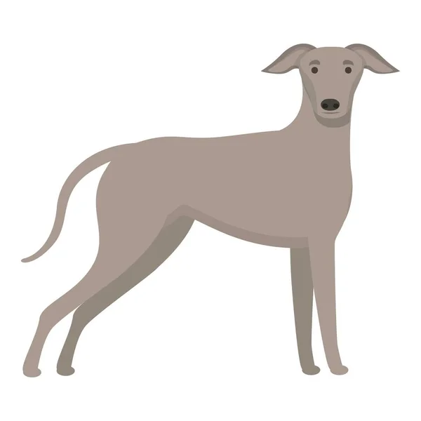 Greyhound Ikone Cartoon Vektor Tierischer Lauf Hunderasse — Stockvektor