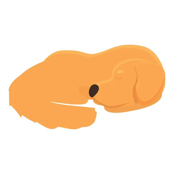 Golden Retriever Dormir Icône Dessin Animé Vecteur Chien Chiot Animaux — Image vectorielle