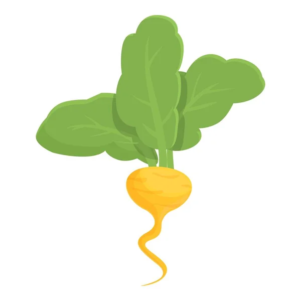 Маленький Корневой Иконный Вектор Зеленая Репа Продовольственная Ферма — стоковый вектор