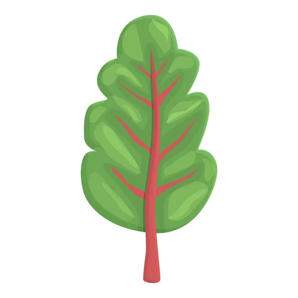 Mangold Ikone Cartoon Vektor Grüne Lebensmittel Naturblatt — Stockvektor