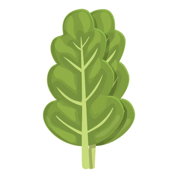 Mangold Chard Icono Vector Dibujos Animados Planta Verde Hoja Naturaleza — Vector de stock