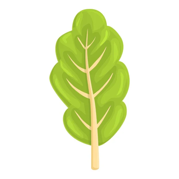 Mangold Food Ikone Cartoon Vektor Grüne Pflanze Naturgemüse — Stockvektor