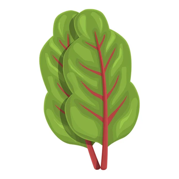 Hoja Acelga Icono Vector Dibujos Animados Planta Verde Alimentos Suizos — Vector de stock