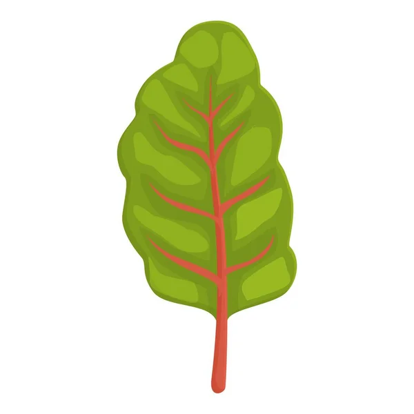 Mangold Symbol Cartoon Vektor Grüne Pflanze Schweizer Lebensmittel — Stockvektor