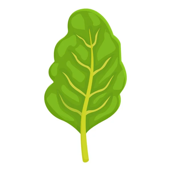 Ícone Acelga Orgânica Vetor Desenho Animado Planta Verde Comida Suíça — Vetor de Stock