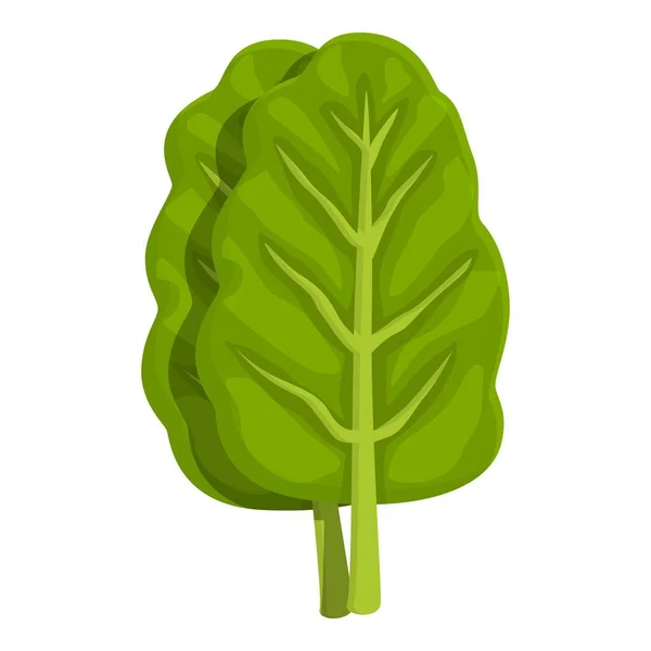 Frisches Mangold Symbol Cartoon Vektor Grüne Pflanze Naturnahrung — Stockvektor