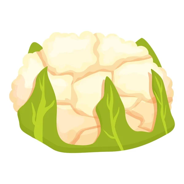 Comida Coliflor Icono Vector Dibujos Animados Comida Repollo Brócoli Granja — Vector de stock