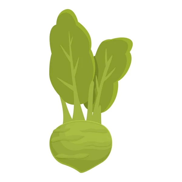 Кольраби Пищевой Вектор Иконки Карикатуры Органическое Растение Капустная Репа — стоковый вектор