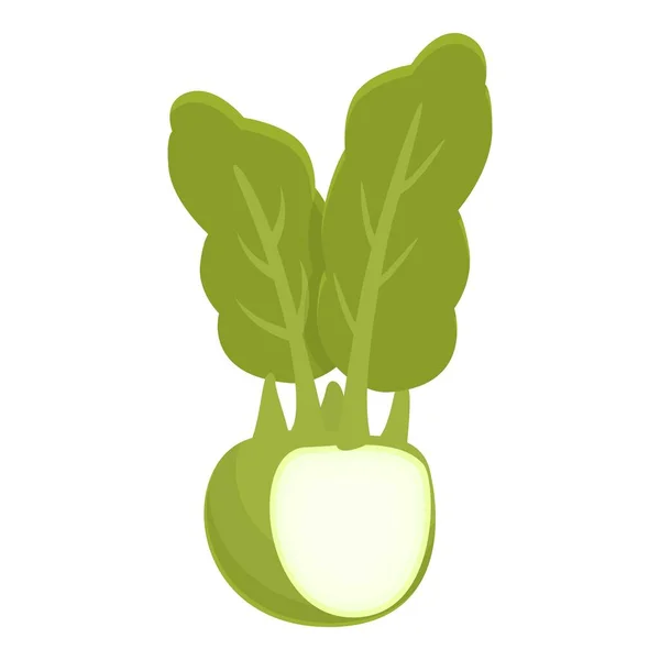 Healthy Kohlrabi Icon Cartoon Vector Vegetable Food Natural Plant — Stock Vector