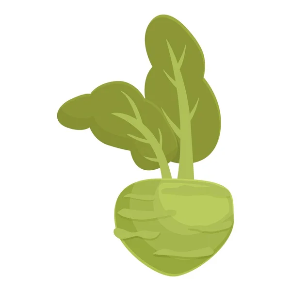 コフラビ植物のアイコン漫画のベクトル 健康な野菜だ ベジタリアンオーガニック — ストックベクタ