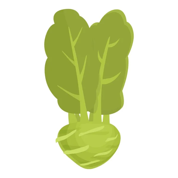 Карикатурный Вектор Иконы Капусты Кольраби Естественное Растение Овощные Органические — стоковый вектор