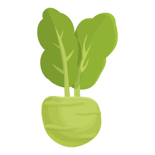 新鮮なKohlrabiアイコン漫画のベクトル 健康食品 有機植物 — ストックベクタ