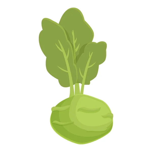 Garten Kohlrabi Ikone Cartoon Vektor Gesunde Ernährung Naturgestaltung — Stockvektor