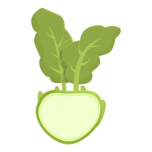 Zielona Ikona Kohlrabi Wektor Kreskówki Zdrowe Jedzenie Rośliny Ekologiczne — Wektor stockowy
