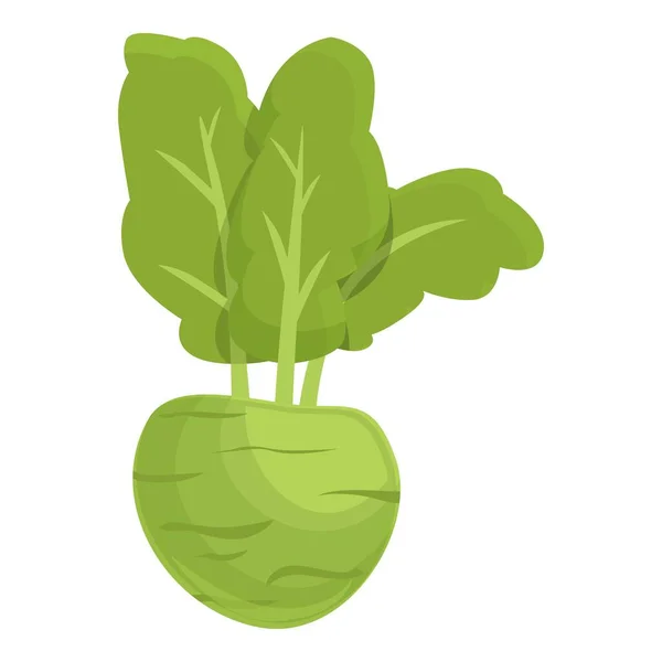 Kohlrabi Simgesi Karikatür Vektörü Pişiriyorum Sağlıklı Yiyecekler Organik Bitki — Stok Vektör