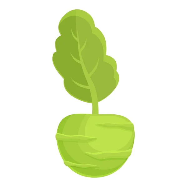 Eco Kohlrabi Icon Cartoon Vector Healthy Food Organic Plant — Stock Vector