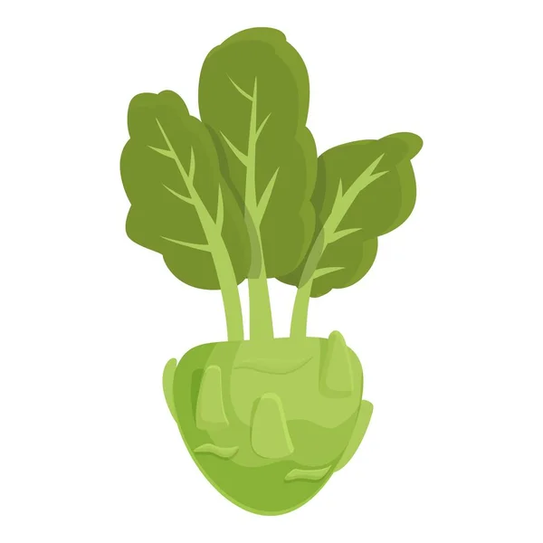 Doğal Kohlrabi Ikon Karikatür Vektörü Sağlıklı Şalgam Sebzeli Organik — Stok Vektör