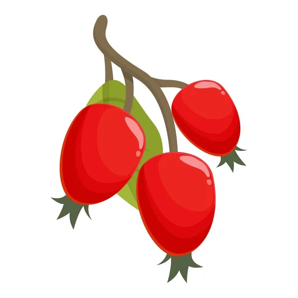 Вітамінний Значок Шипшини Мультяшний Вектор Ягідна Їжа Фрукти Червоні — стоковий вектор