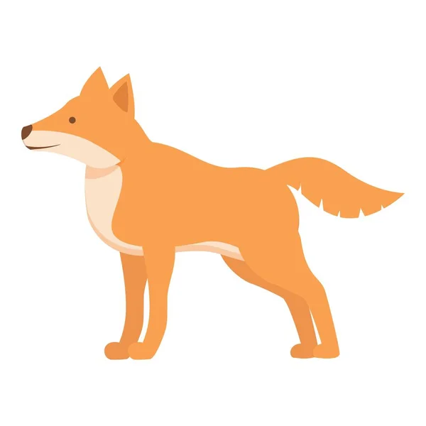 Zoológico Vetor Desenho Animado Ícone Canino Cão Dingo Mamífero Bonito — Vetor de Stock
