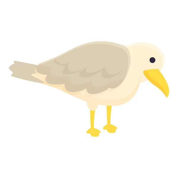 Mouette Recherche Alimentaire Icône Dessin Animé Vecteur Oiseau Marin Mignon — Image vectorielle