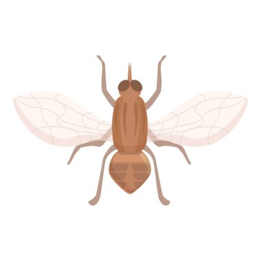 Glossinidae çeçe sineği ikon çizgi film vektörü. Böcek sineği. Tik evi