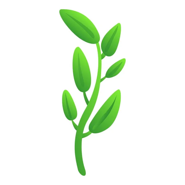 Salbei Basilikum Pflanze Symbol Cartoon Vektor Aromatisches Kraut Grünpflanze — Stockvektor